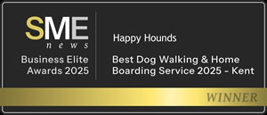 Happy Hounds Dog Home Boarding and Dog Walking Award
